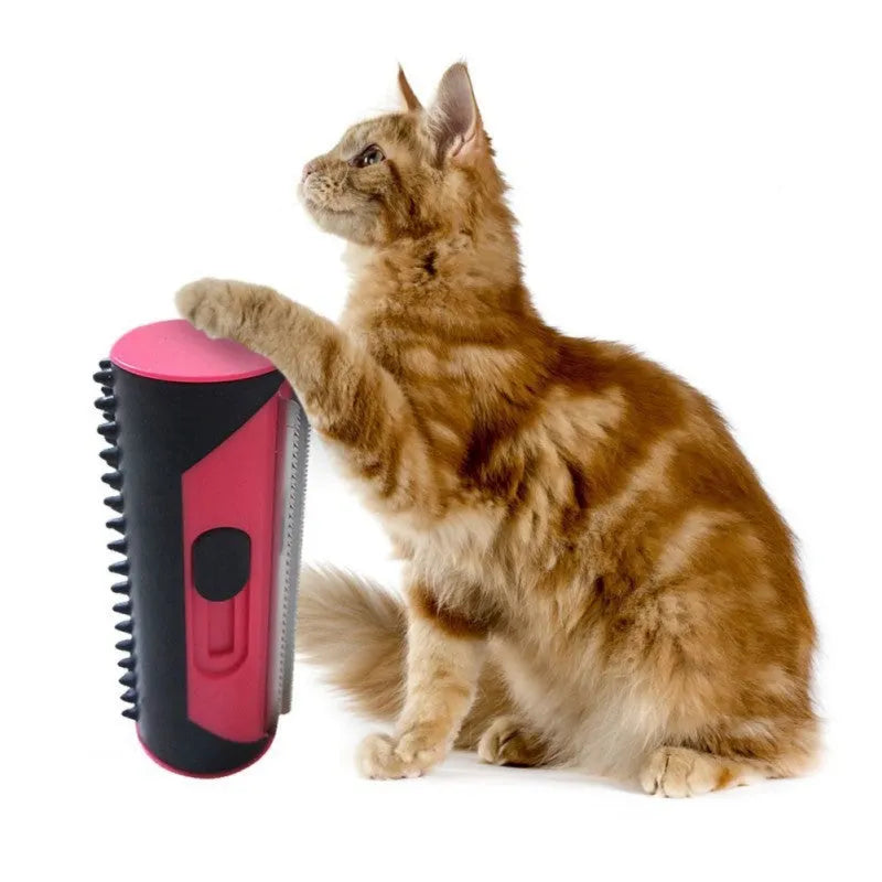 Pet grooming comb with retractable stainless steel teeth, plastic body, 14.5cm x 5.5cm, for dog and cat cleaning