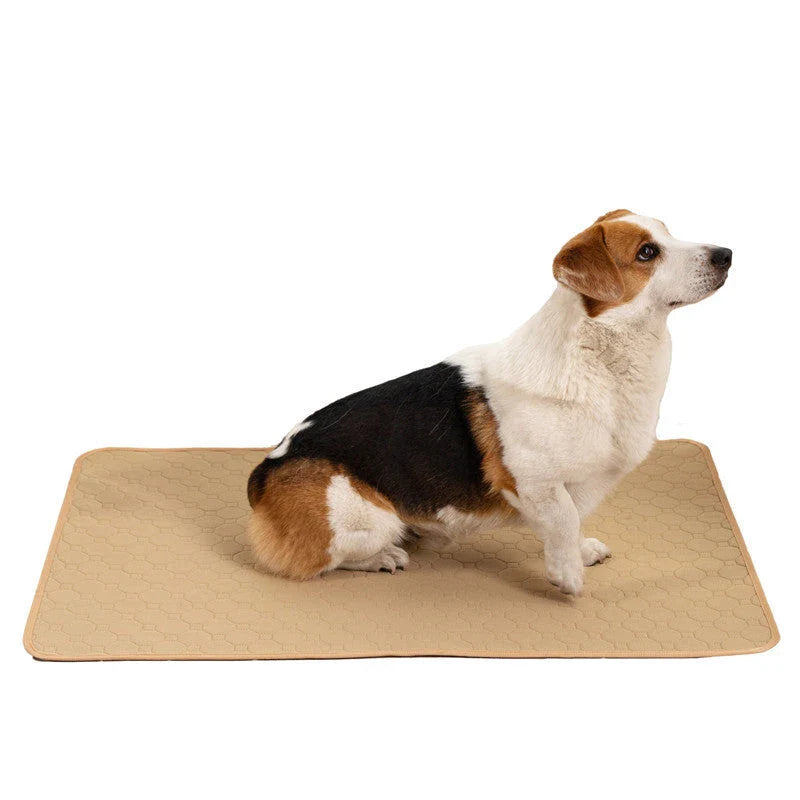 Highly absorbent pet pads for dogs in gray and white colors, featuring a moisture-wicking design for a clean and comfortable home.