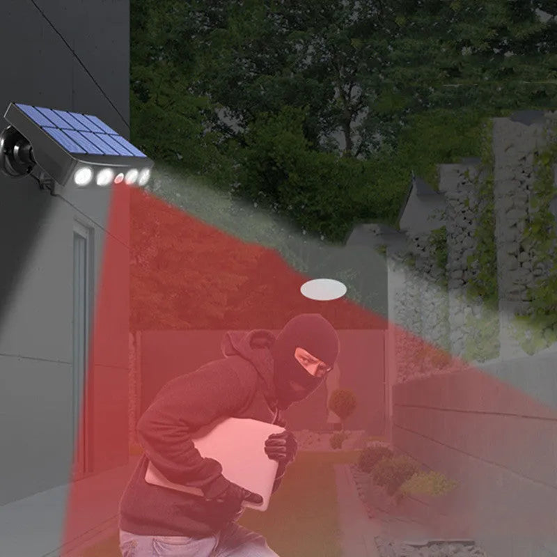 Black outdoor wall lamp with induction sensor for garden security lighting, IP65 rated.