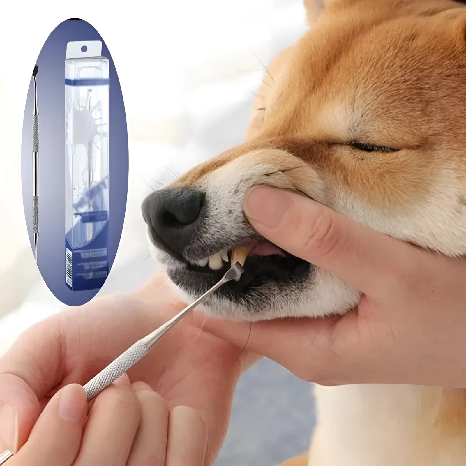 White stainless steel pet beauty pen for removing calculus and tartar from pet teeth