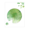 Leaf-shaped sticky notes with botanical designs including water lily and ginkgo
