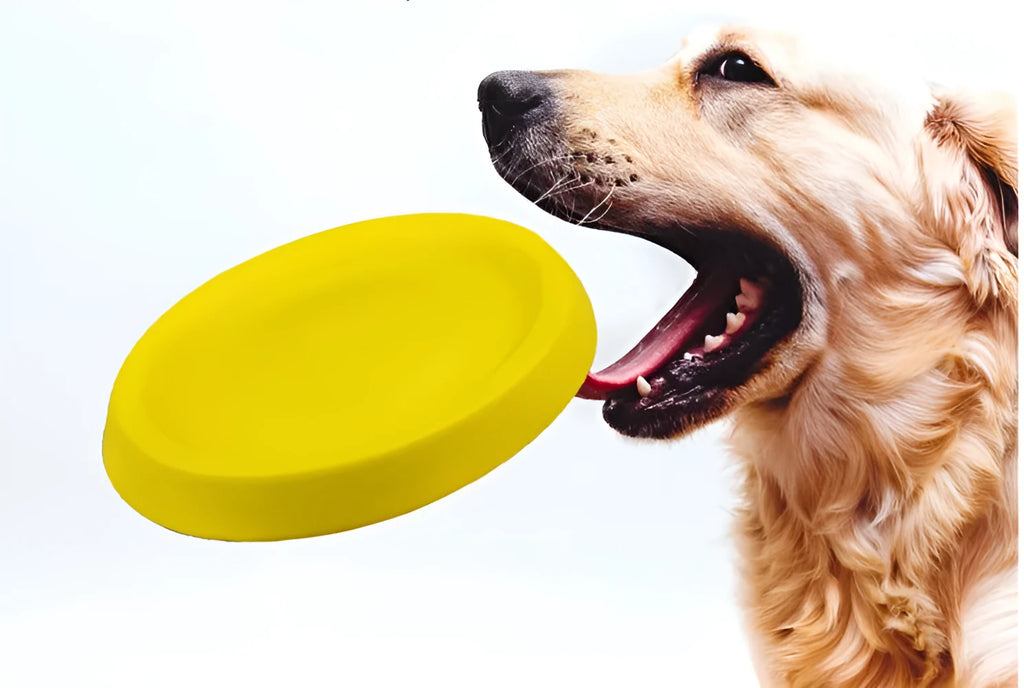 Yellow EVA plastic dog fetch ball weighing 70g for training and bonding exercises