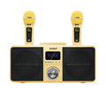 Black or gold Bluetooth speaker with two wireless microphones for home karaoke KTV