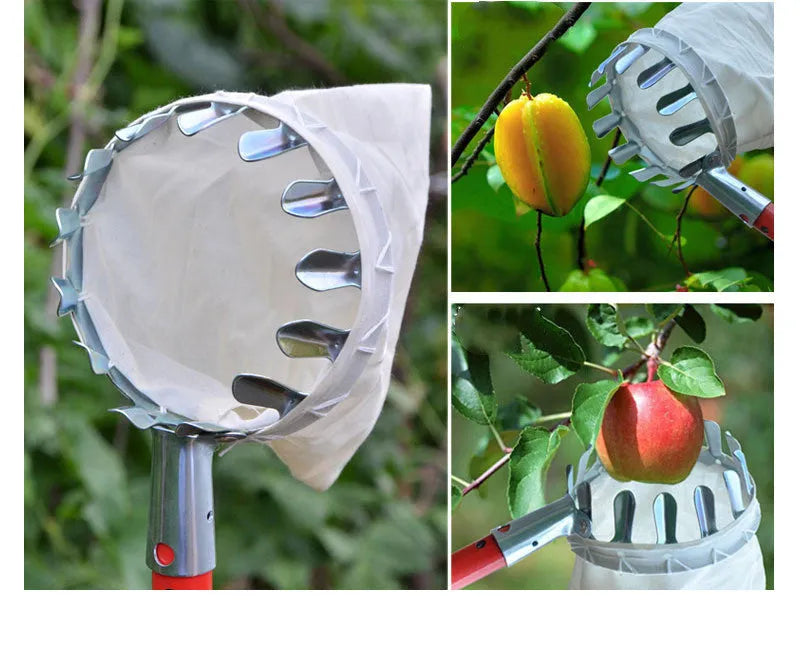 Steel frame fruit picker with cloth bag catcher for harvesting citrus, pears and peaches