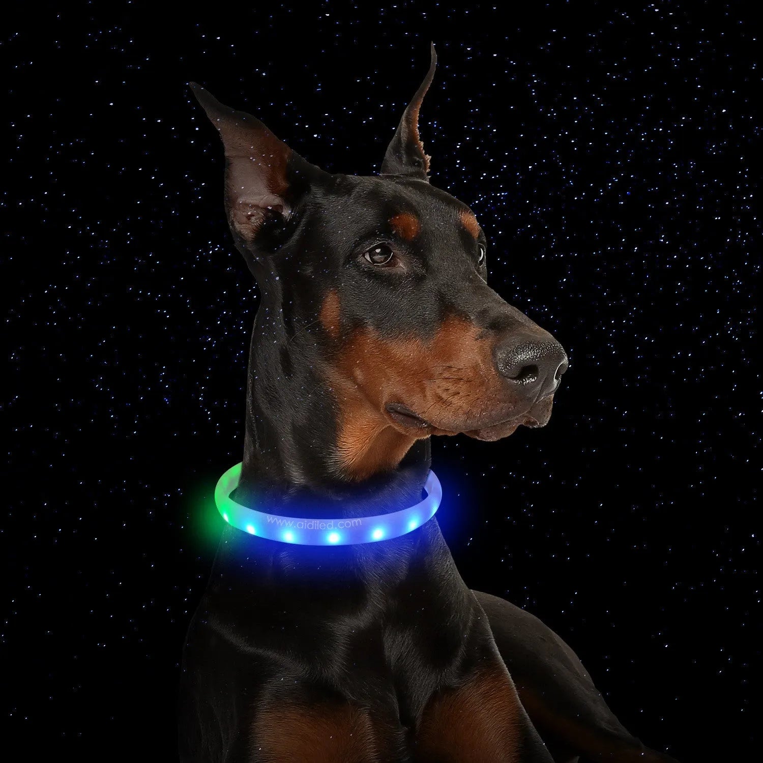 White USB rechargeable flash dog collar with RGB light, silicone construction, size L 2.5x65cm