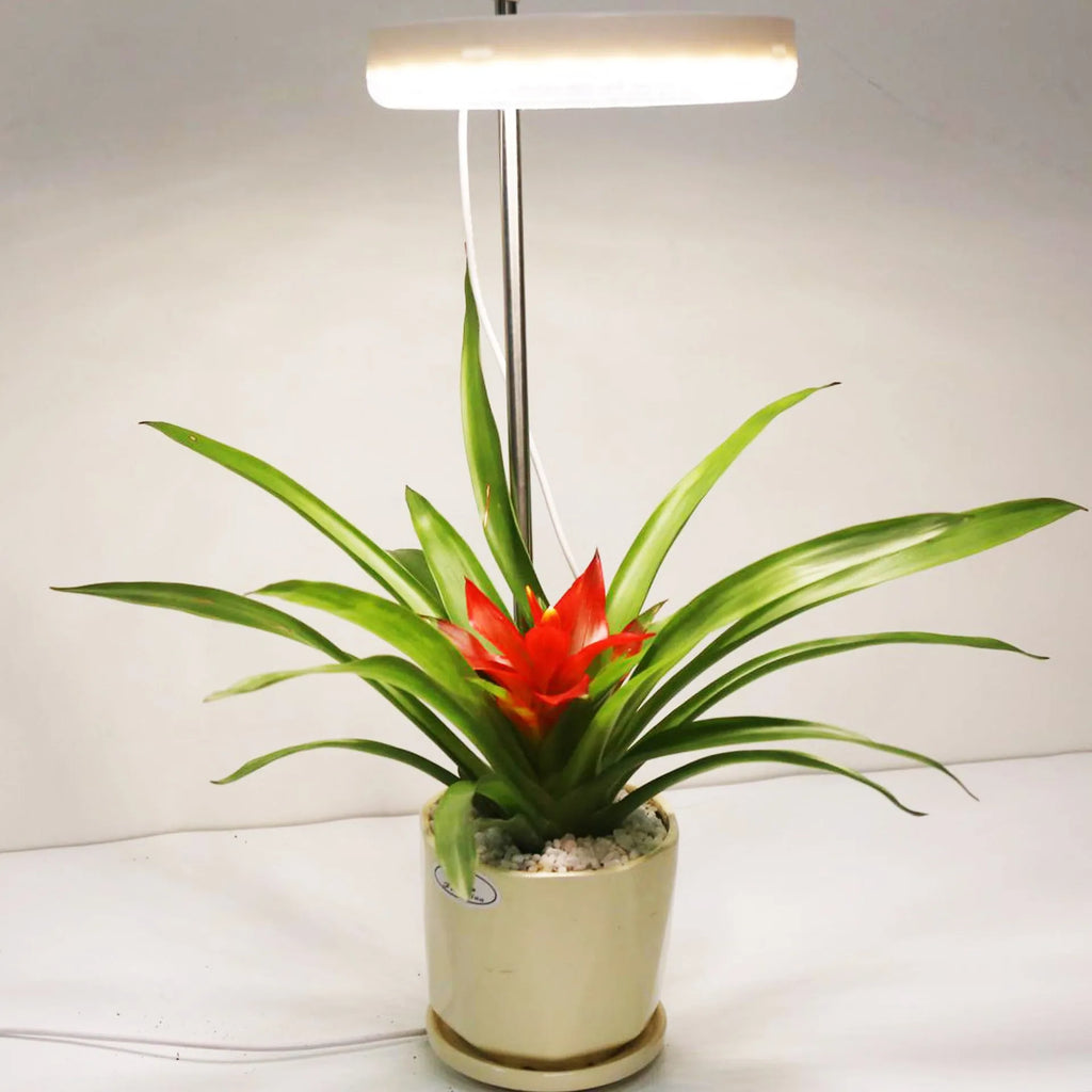 Compact white PC shell plant growth lamp with LED lights, shown on a wooden desk.