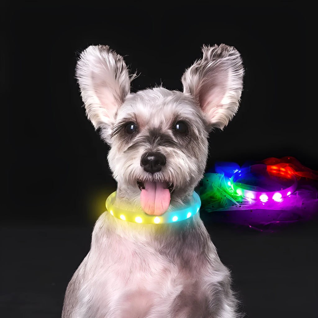 White USB rechargeable flash dog collar with RGB light, silicone construction, size L 2.5x65cm