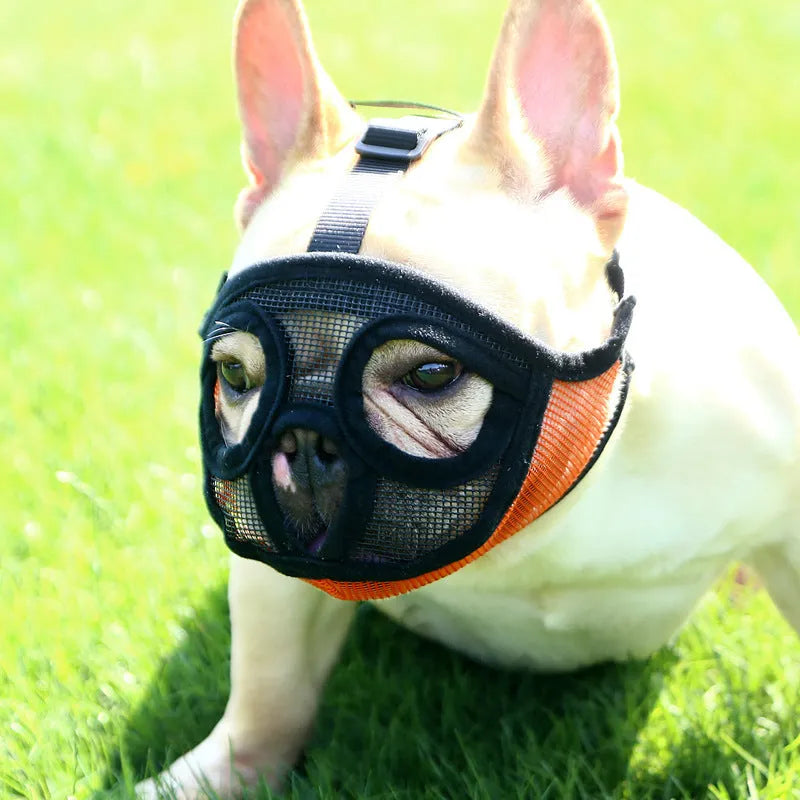 Hoopet breathable mesh dog muzzle for flat short snout dogs, adjustable with multiple colour options