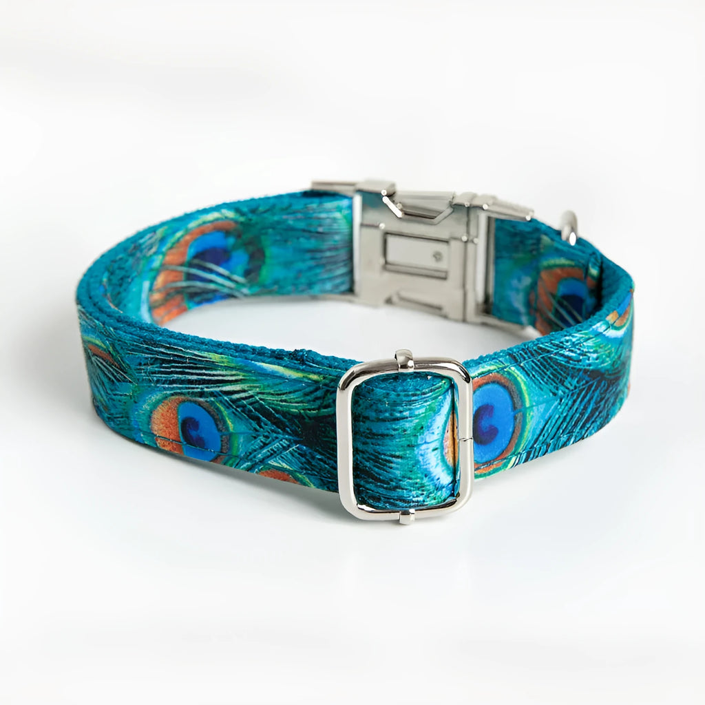 Peacock blue dog collar with zinc alloy buckle, ins style, sizes XS to XL, includes towing rope