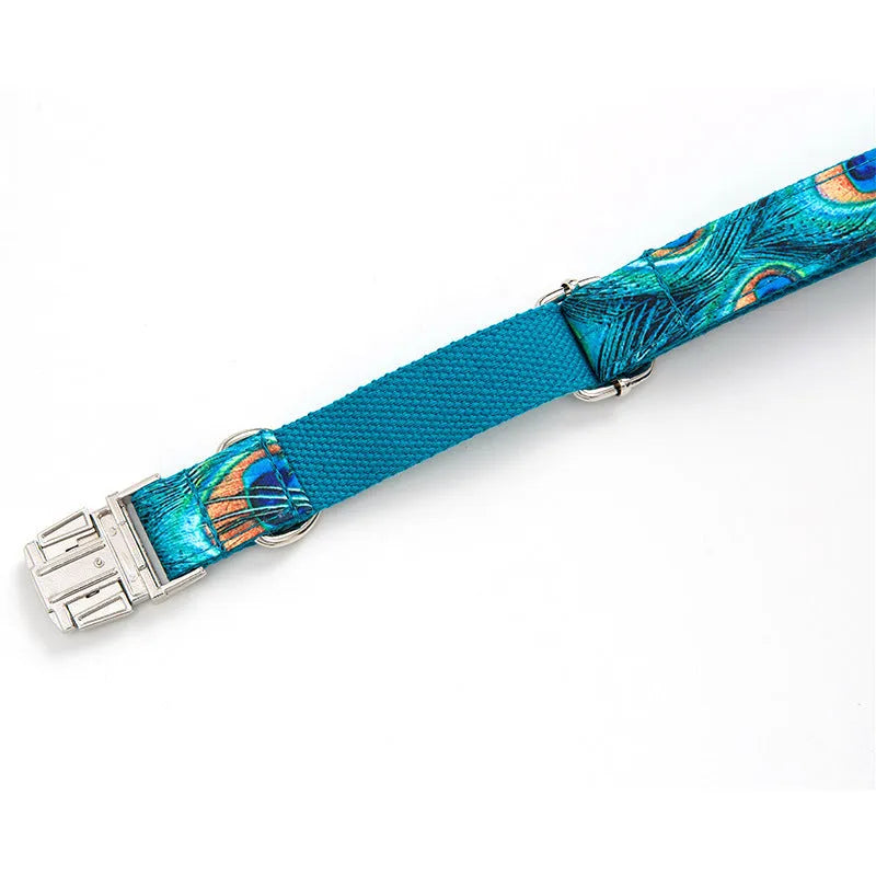 Peacock blue dog collar with zinc alloy buckle, ins style, sizes XS to XL, includes towing rope