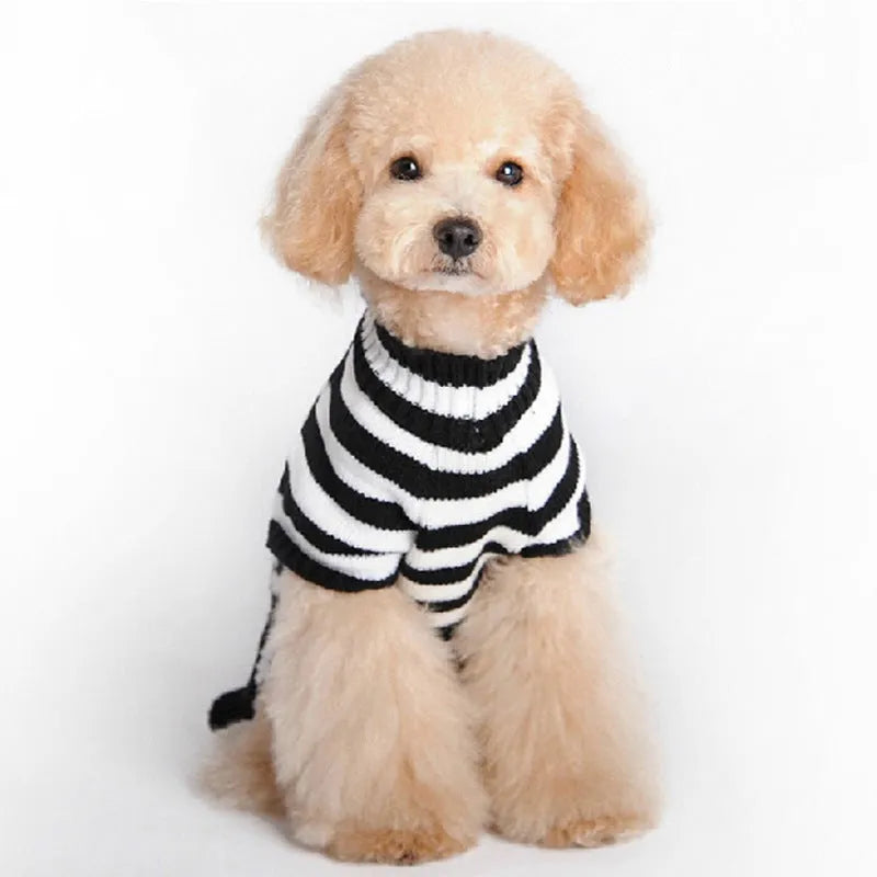 Black skull-pattern acrylic knit dog sweater on a pet, front view, with ribbed neckline and pullover style