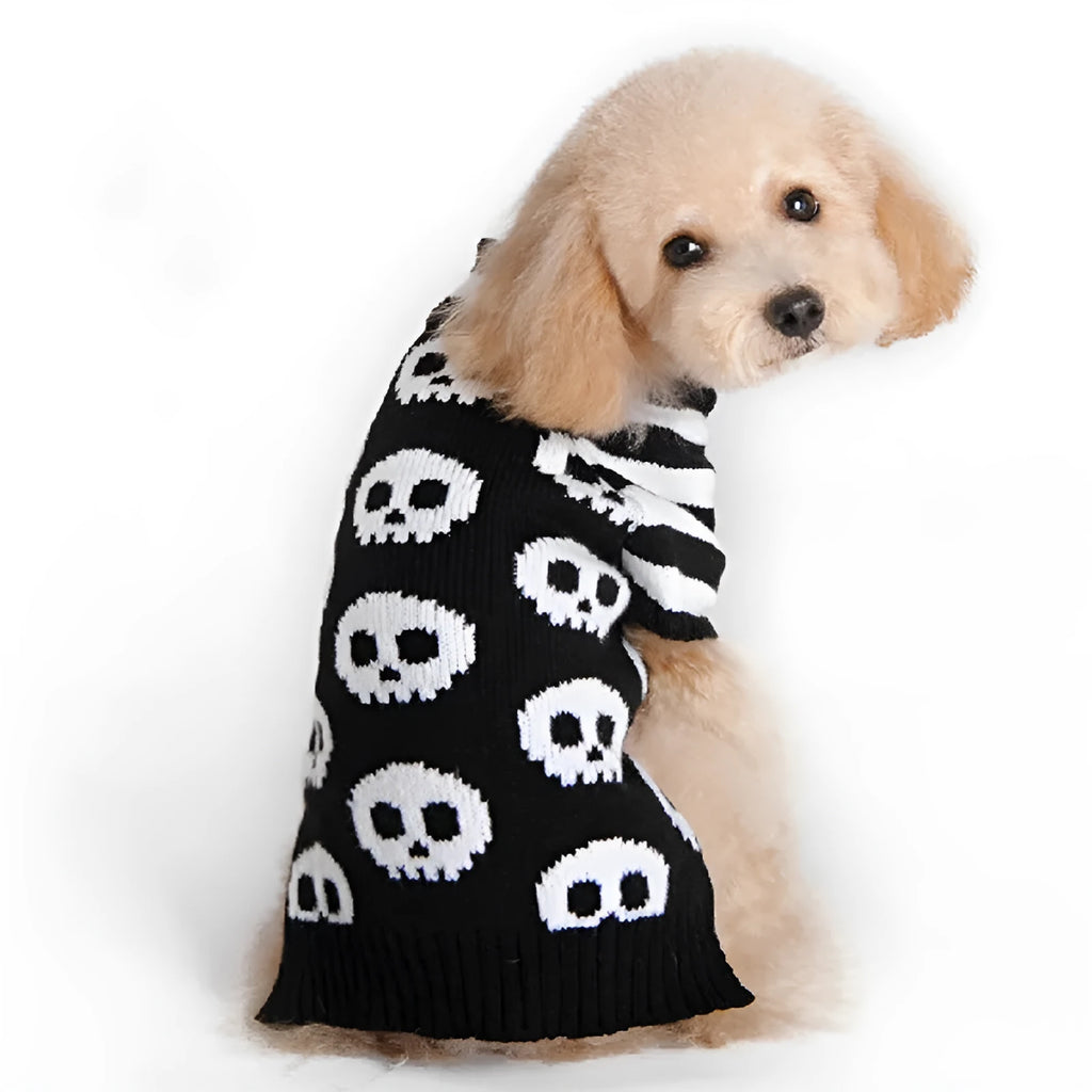 Black skull-pattern acrylic knit dog sweater on a pet, front view, with ribbed neckline and pullover style