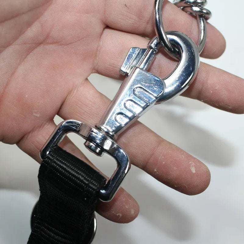 Police dog training lead in PP with reflective detail, shown in black and green for large dog training.