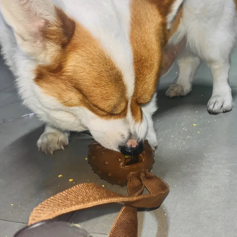Brown coffee bean shaped dog chew toy with a central rope knot detail.