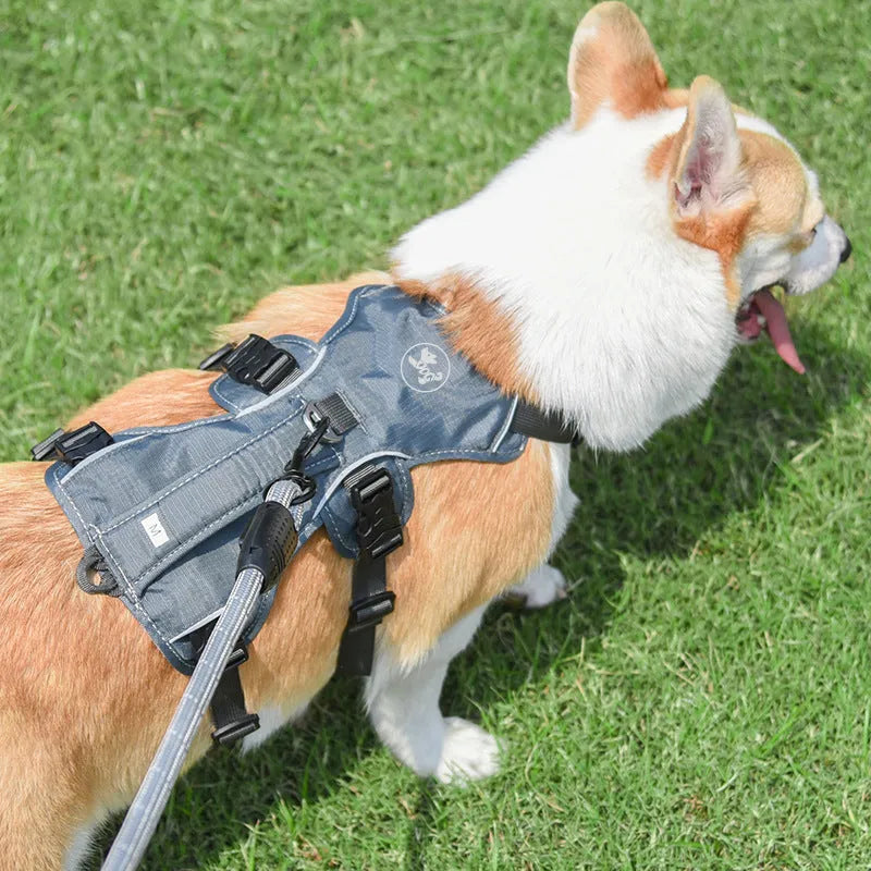 Nylon pet harness with hand-holding rope in red, orange, blue, gray, or reflective round rope, sizes XXS to L