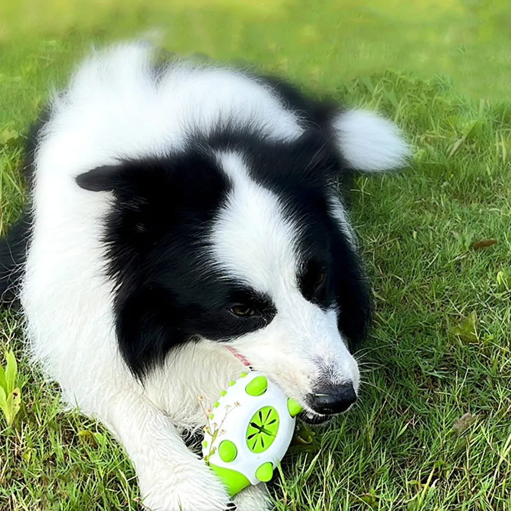 Hedgehog shape dog toy in blue and green for teeth cleaning and food dispensing