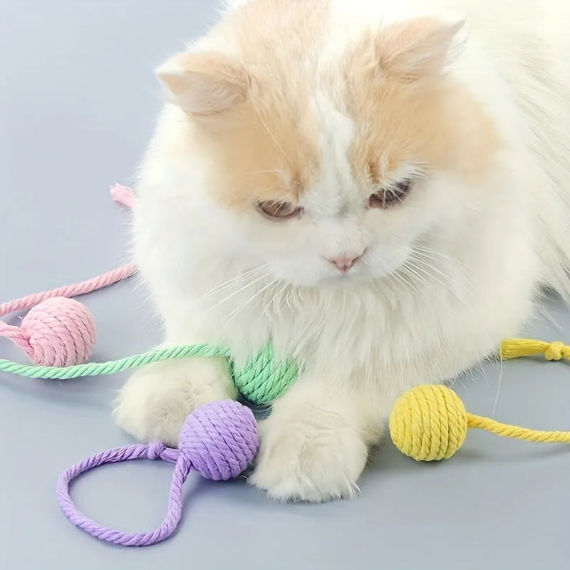 Colourful cat toy ball with attached rope and internal bell for kitten play