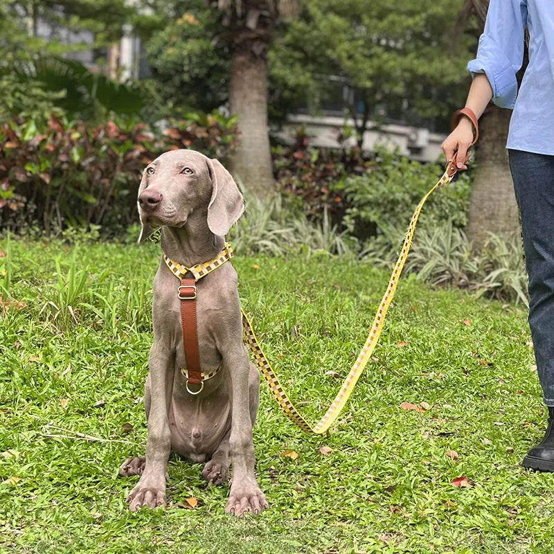 I-shaped dog chest harness with adjustable collar and 150cm hand-holding rope in leather rib fibre