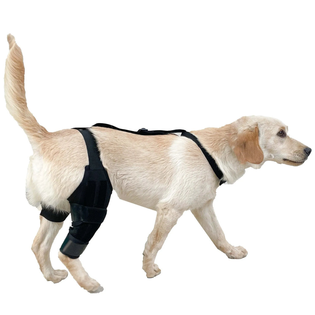 Dog leg protector knee brace with auxiliary belt elastic bandage for joint support