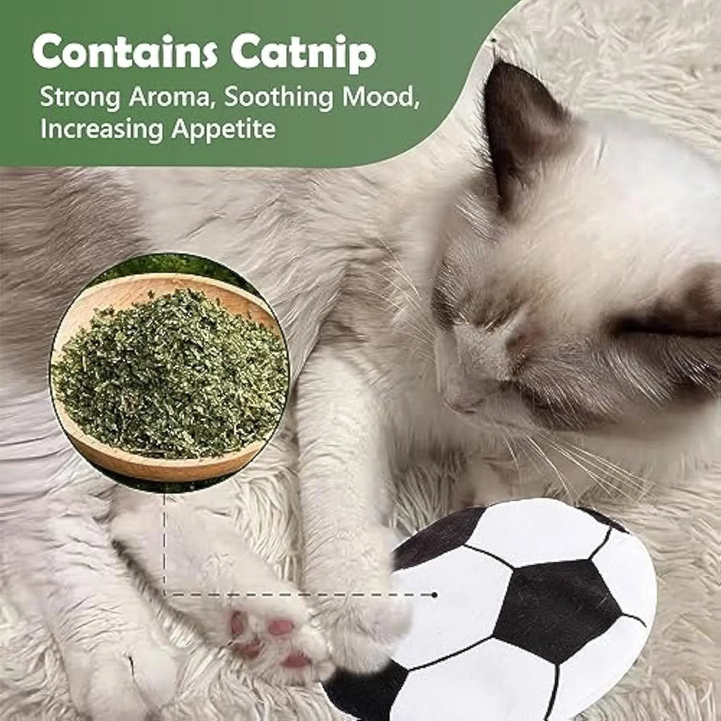 Plush cat flying disc toy with sports ball pattern containing catnip and crinkle sounds