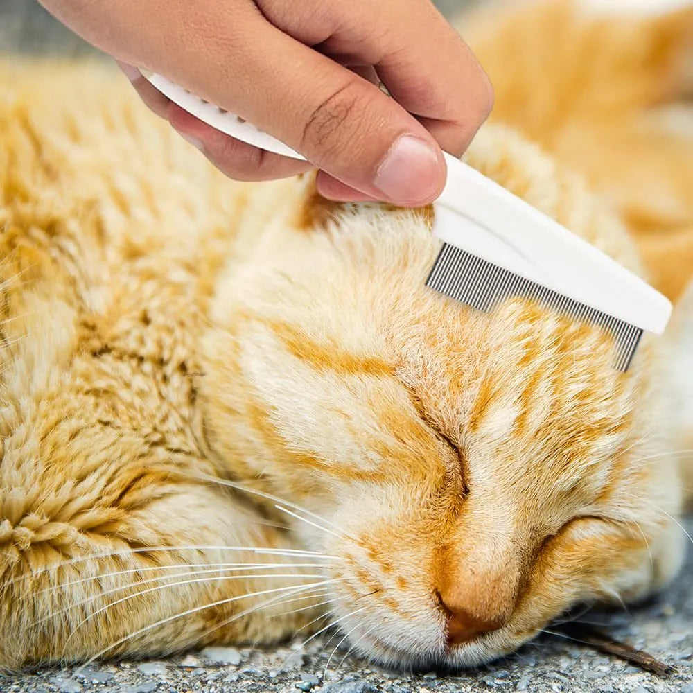 Multifunctional pet comb with stainless steel fine teeth and non-slip handle, for tear stain removal on dogs and cats