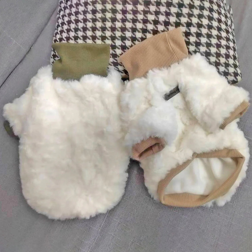 Creamy green turtleneck plush dog coat on a small dog, showing high collar design
