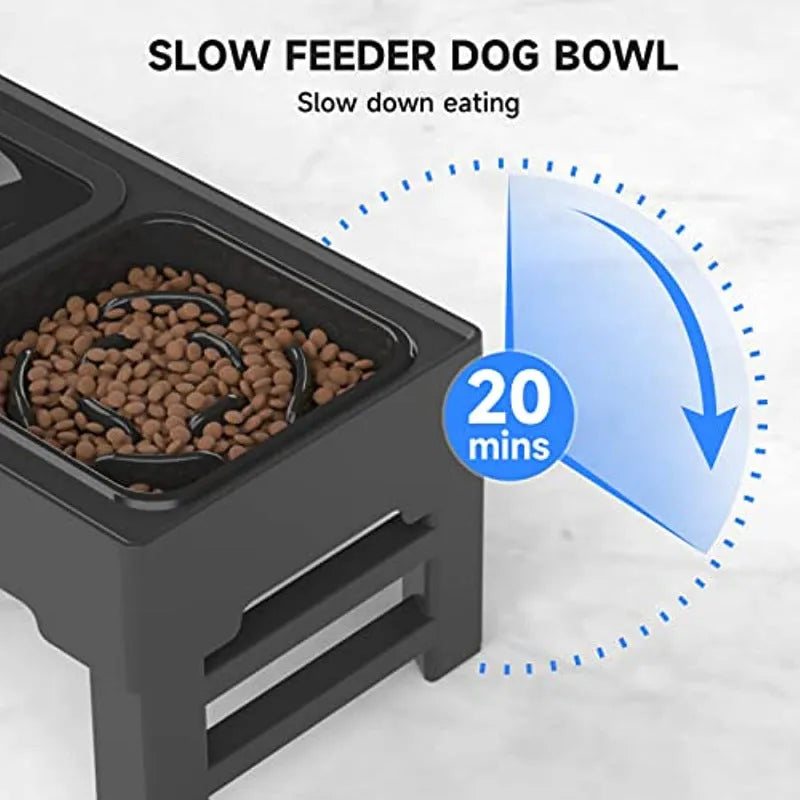 Adjustable elevated dog feeding stand with slow feeder bowl and water bowl on anti-skid legs.
