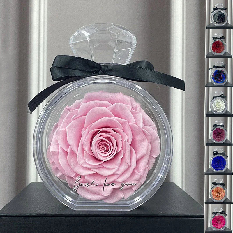 Elegant preserved dried floral ornaments in a transparent display case, available in a variety of vibrant colors