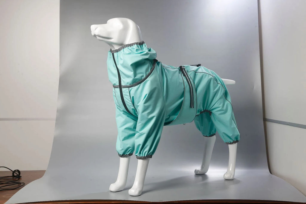 Dog wearing black cotton-padded polyester shell jacket with sports style design for winter warmth
