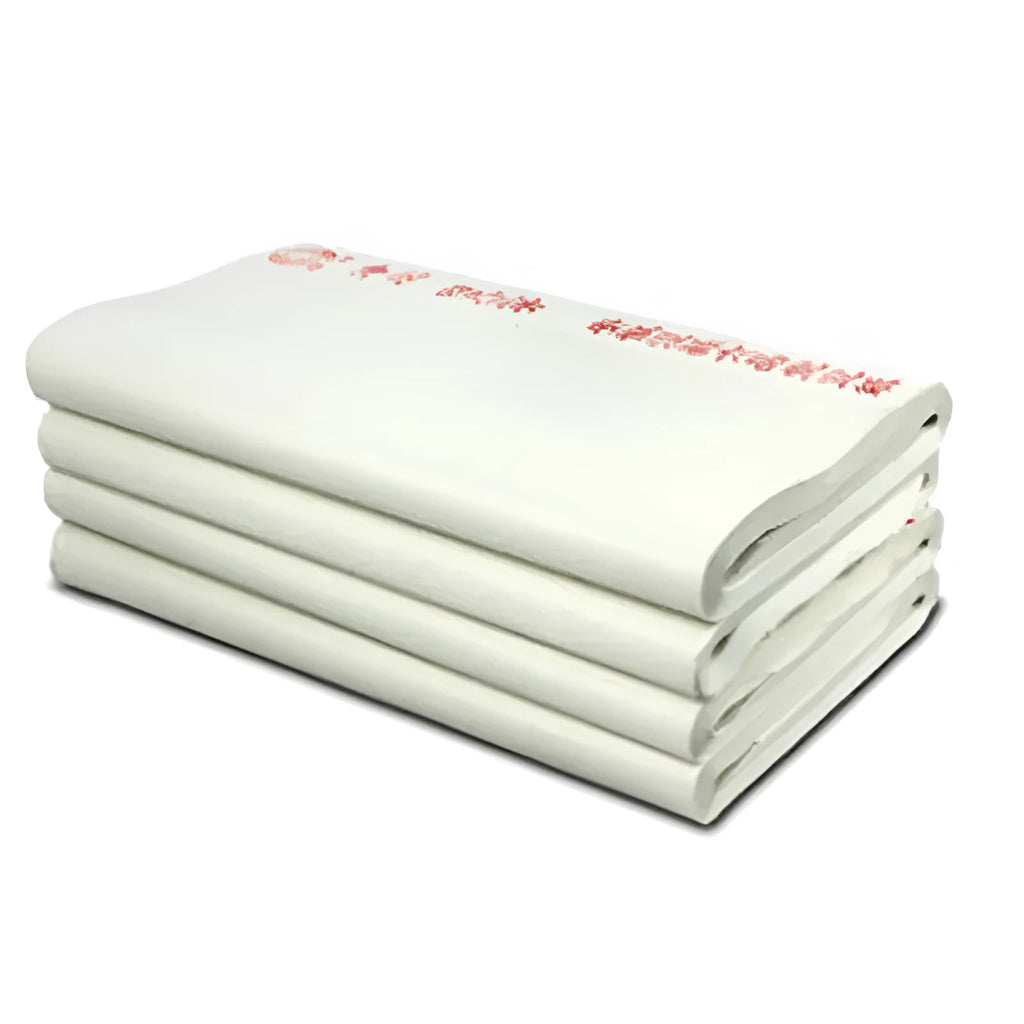 Pack of 100 white health promotion paper sheets in three sizes for clinic displays.