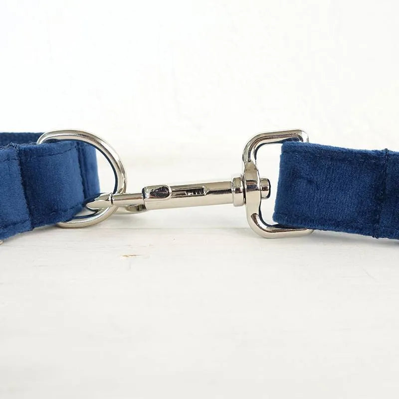 Blue velvet polyester dog collar with bow tie, in size large, for walking small and large pets