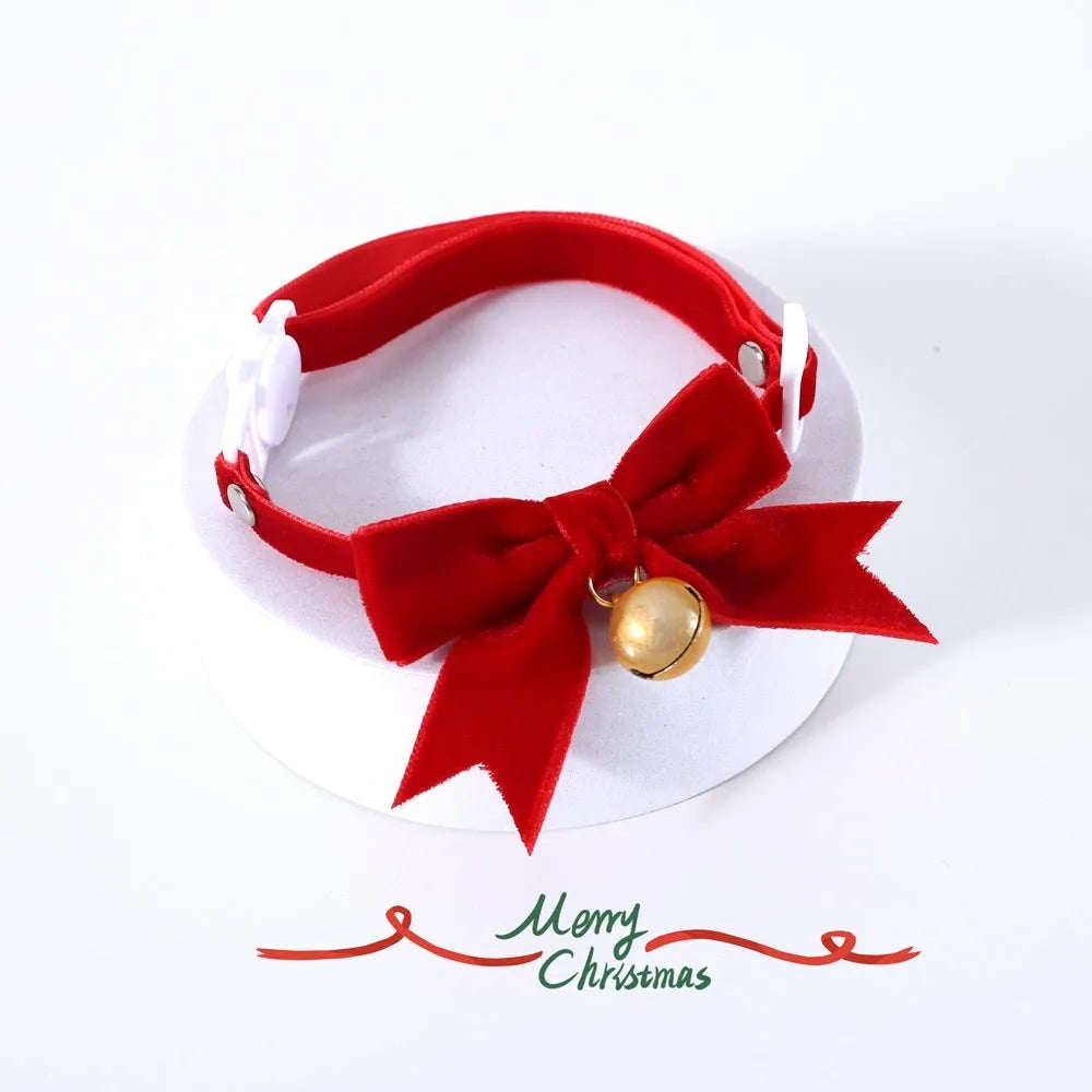 Pet velvet bow tie collar with anti-suffocation buckle in red velvet bow on small cat, S size