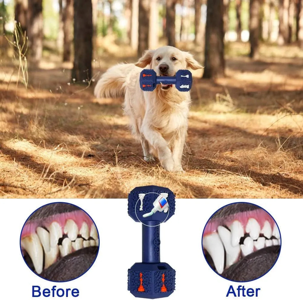 Blue rubber dumbbell-shaped dog chew toy with textured surface and hollow ends.