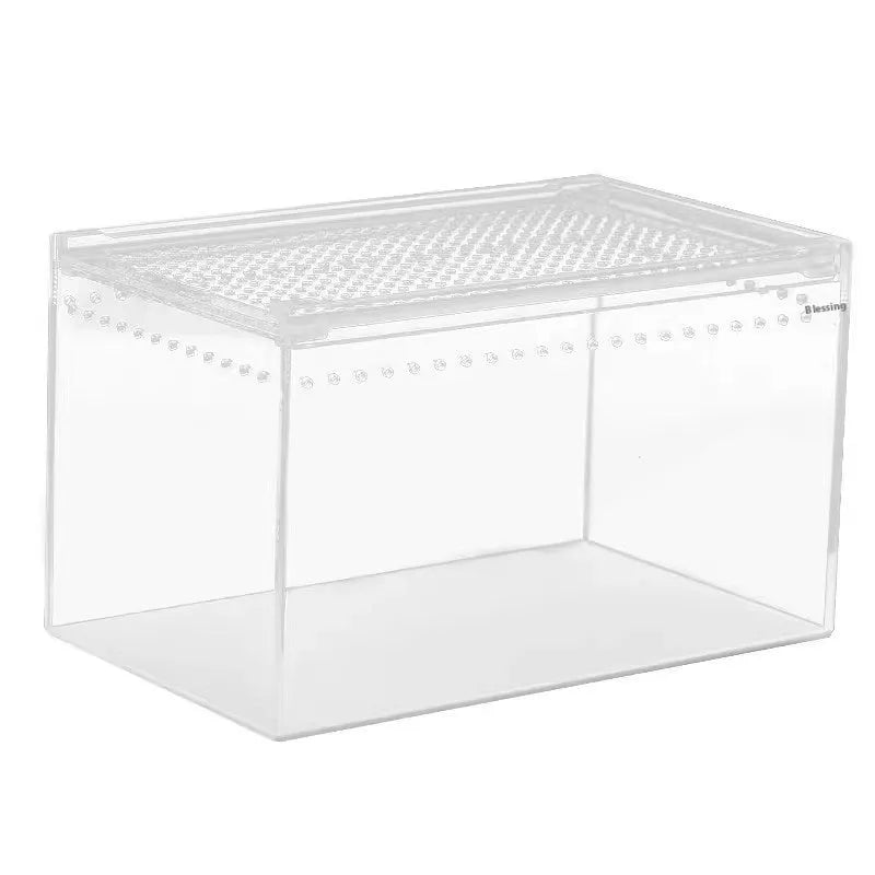Transparent acrylic reptile feeding box enclosure for pet lizards or snakes.