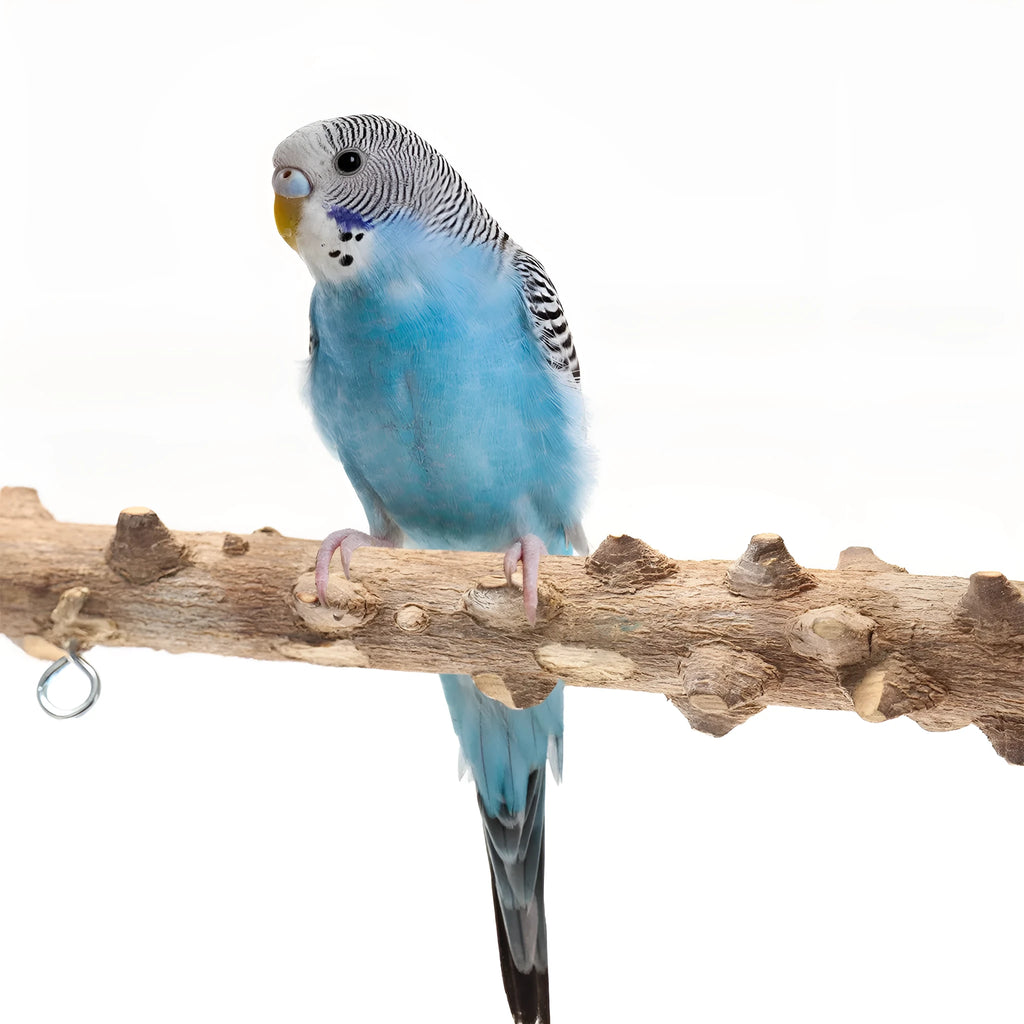 Bird playground stand with solid wood frame and pepper wood branches for parrots