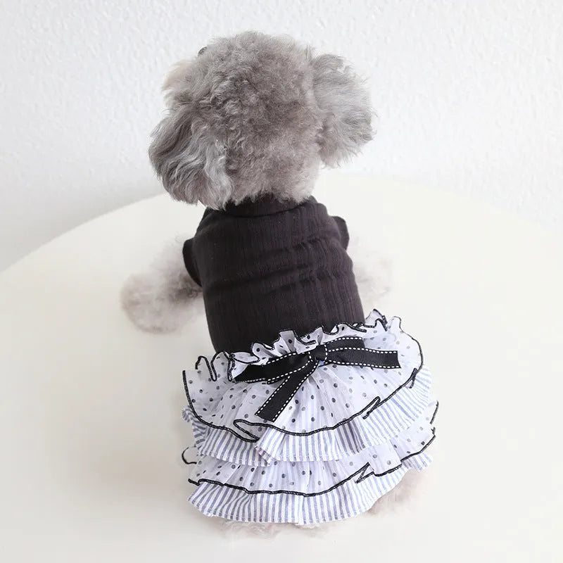 Polka dot lace princess dress for small pets with tulle skirt in purple, black, or coffee colours