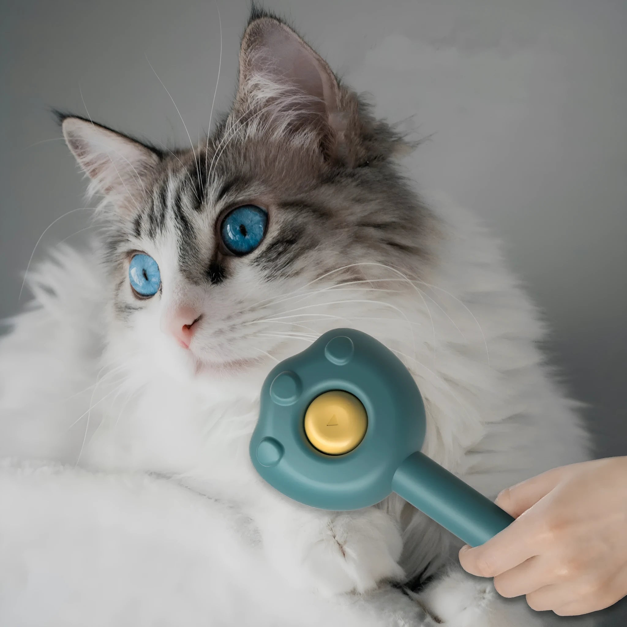 Self-cleaning pet grooming comb in blue, green or yellow for cat brushing and hair removal