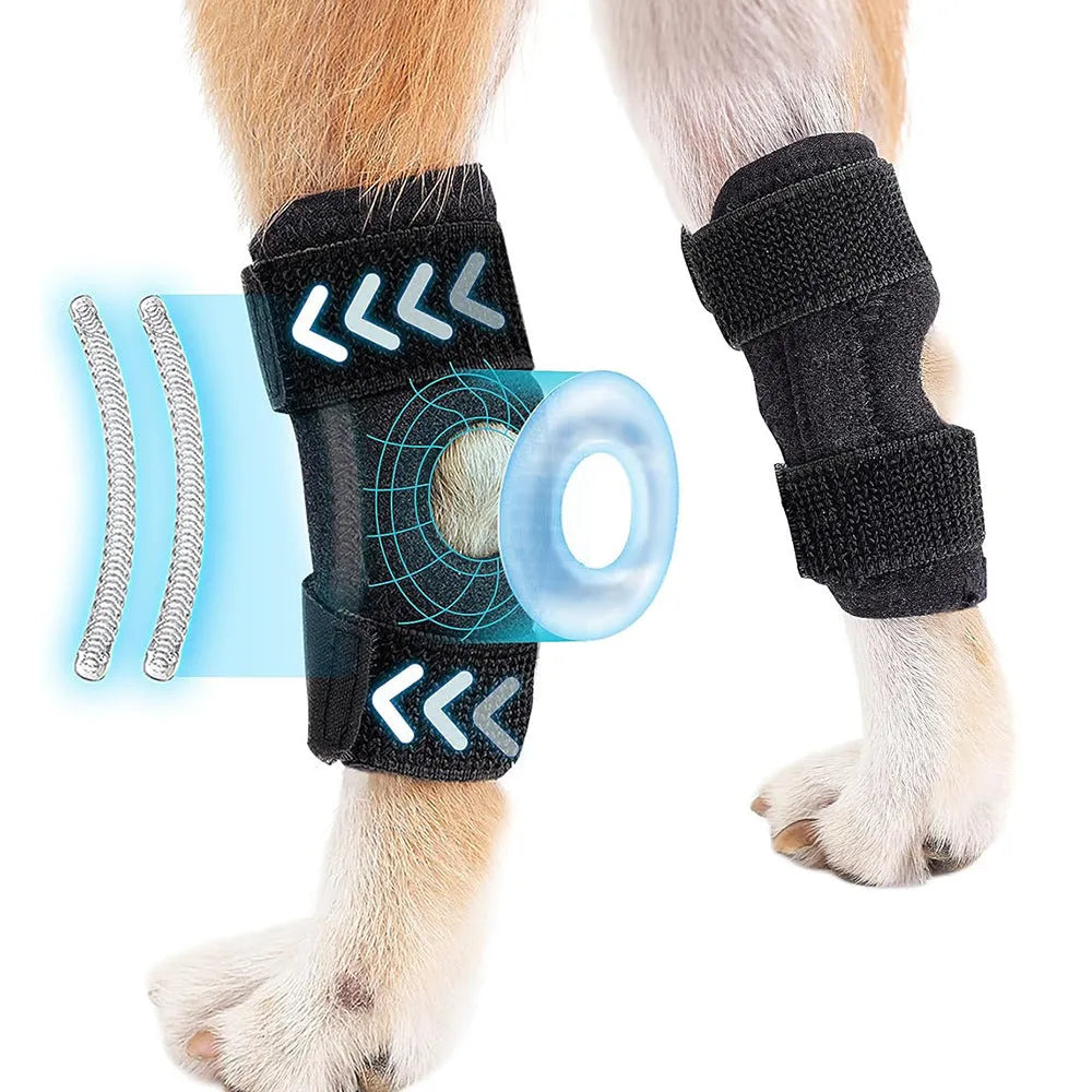 Black dog rear leg auxiliary strap made of neoprene with Velcro fastening shown on a flat surface