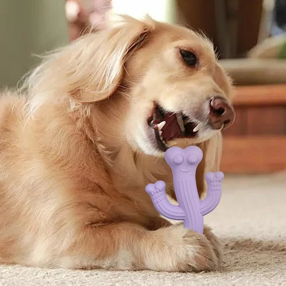 Cactus-shaped dog chew toy in beige, blue, or purple colour, shown in small and large sizes.
