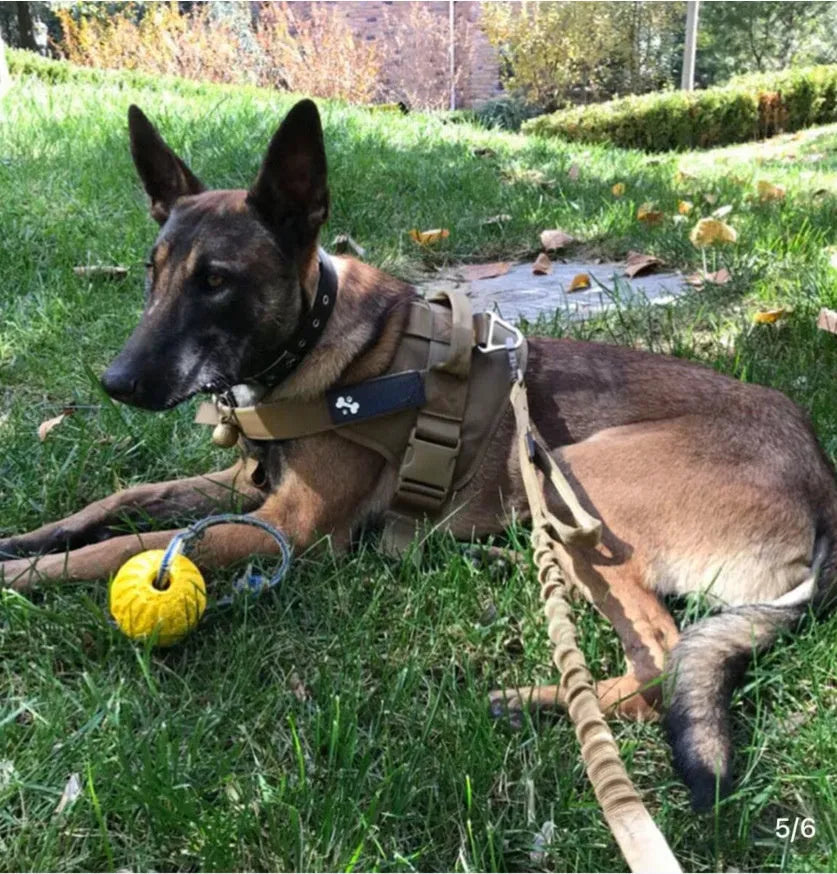 Tactical dog leash and matching collar in heavy-duty nylon with reflective stitching, available in four colour options for medium to large dogs