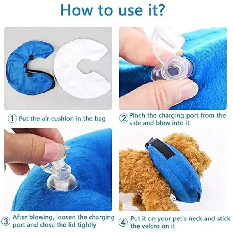Blue inflatable dog recovery collar shown on a pet, with size chart for XS, S, M, L, XL.