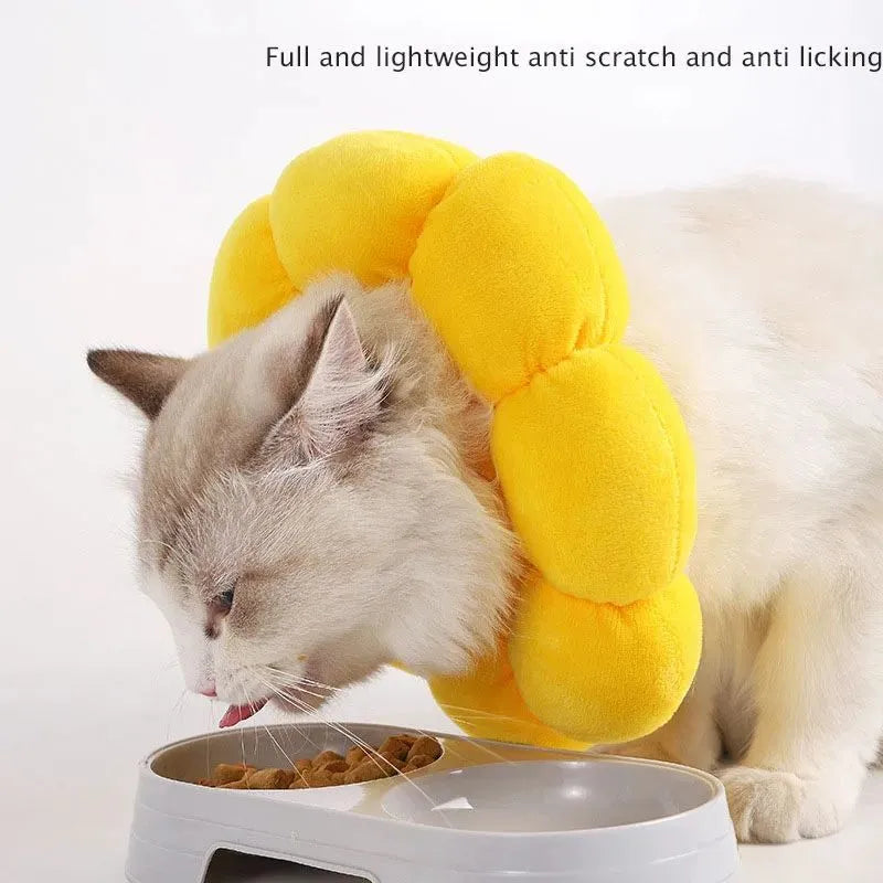 Sunflower patterned cotton recovery collar for a cat or small dog, shown with adjustable hook-and-loop strap.
