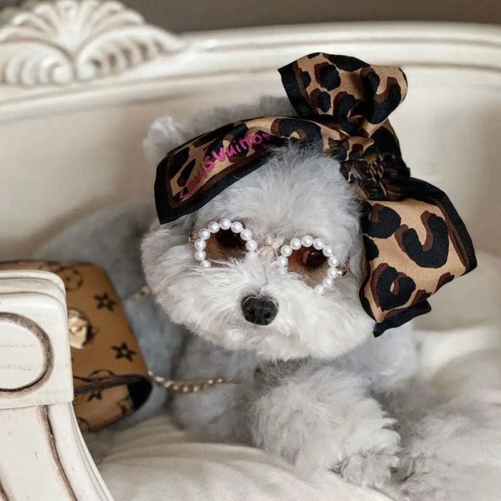 Pet dog pearl sunglasses with plastic frame, small 8cm size, photo colour finish, on a pet