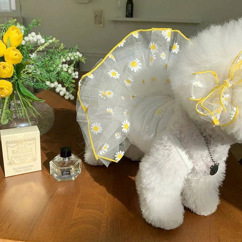 Yellow daisy pattern polyester dog clothes for summer in sizes XS to XL