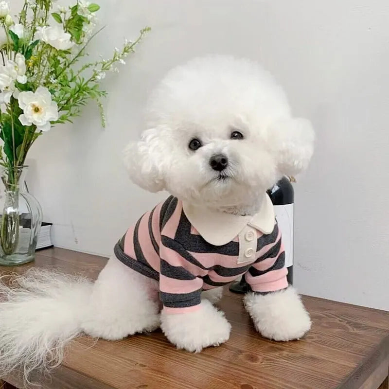 Cute dog polo shirt with striped collar for male puppy, breathable fabric, black colour