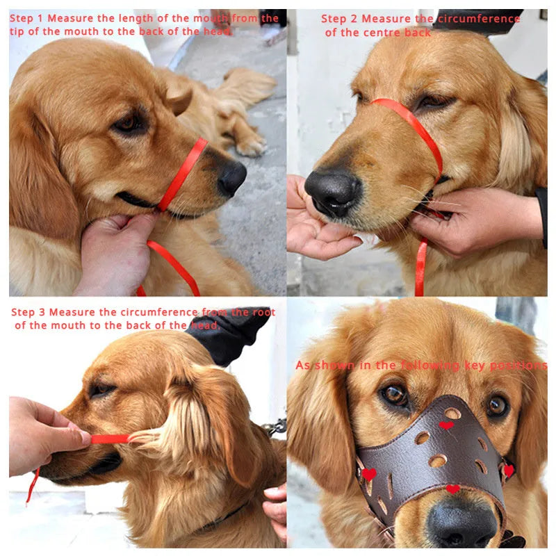 Black dog muzzle silencer mouth cover with adjustable straps on a medium-sized dog