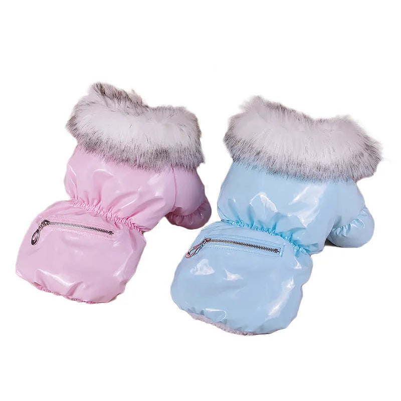 Blue British-style cotton dog jacket on a pet, showing winter coat design.