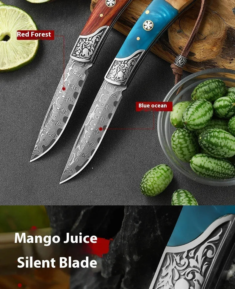 VG10 stainless steel folding pocket knife in Blue Ocean and Red Forest colours
