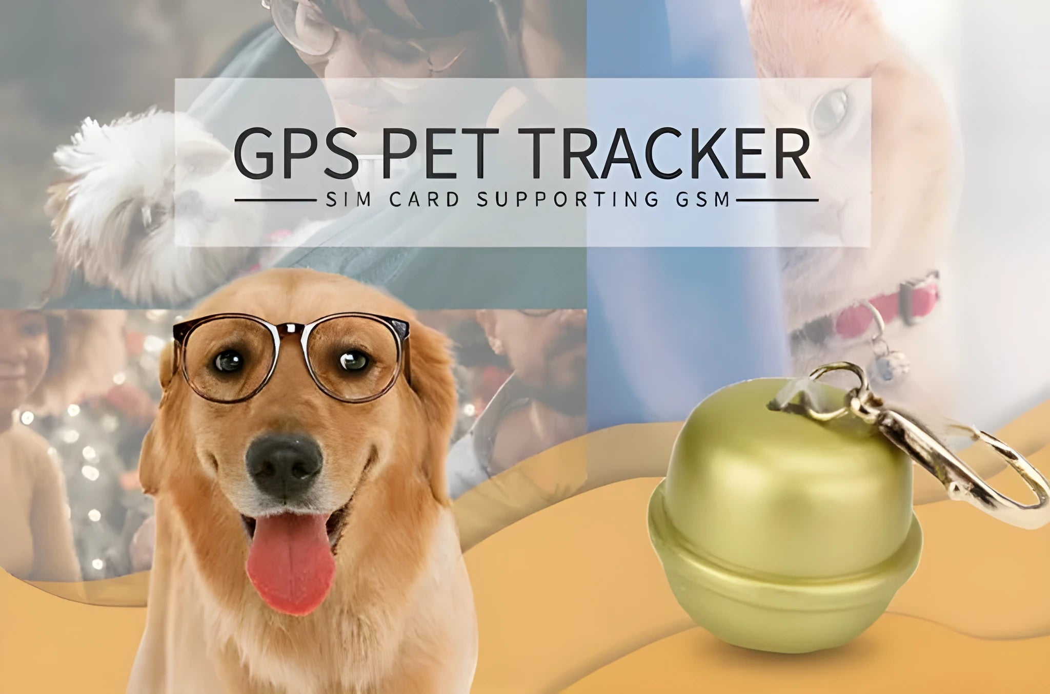GPS tracking dog collar with LED light on a nylon strap, shown in black, brown, green, and pink colour options.