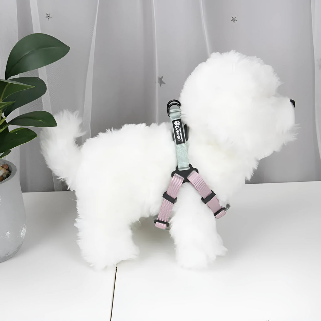 Nylon dog breast strap with hand holding rope in green blue colour on a white background